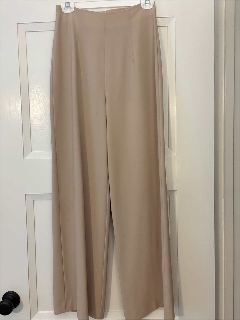 Wide Leg Dress Pants in Beige